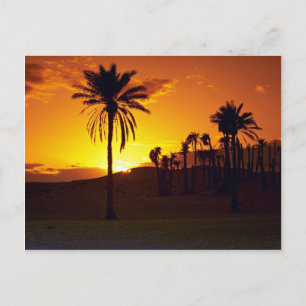 Zondag in de woestijn, de Sahara, de Tunesische wo Briefkaart