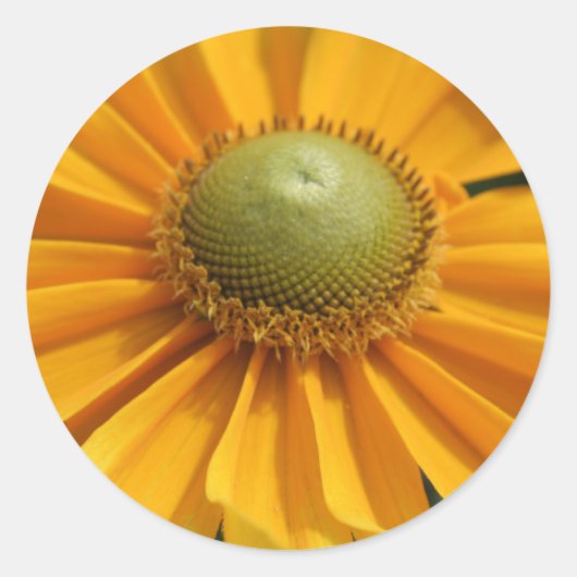 Zondag Ronde Sticker (Voorkant)