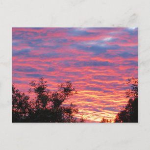 Zondag zomer briefkaart