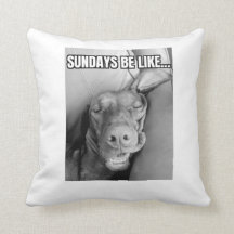 Zondagen zijn als Vizsla Pillow