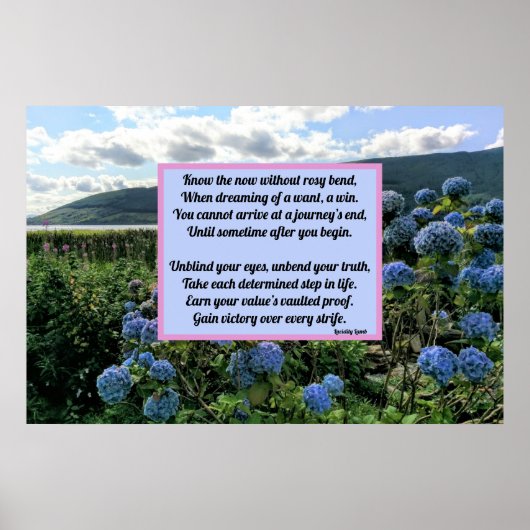 Zonder Rosy Bend Poster (Voorkant)