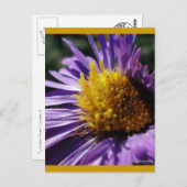 Zonder titel Nummer 3a Briefkaart (Voorkant / Achterkant)