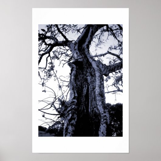 Zonder titel poster (Voorkant)