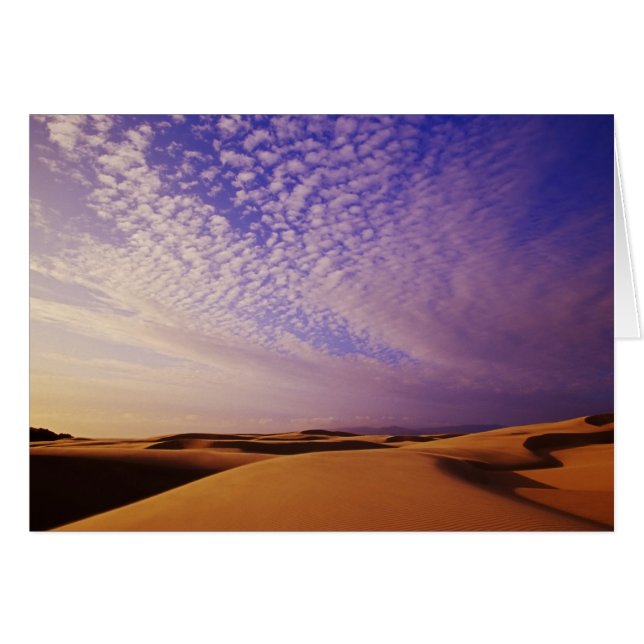 Zone de loisirs nationale des dunes de l'Oregon, O (Devant horizontal)