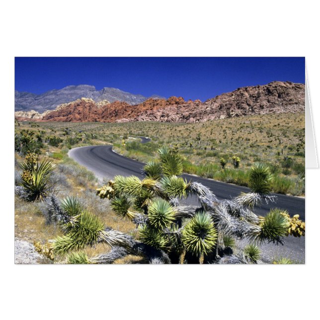Zone nationale de conservation de Red Rock Canyon, (Devant horizontal)