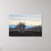 Zone paysagère de la vallée centrale toile en fleu (Recto)