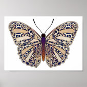 Zones de léopard Brown - Poster de papillon (Devant)