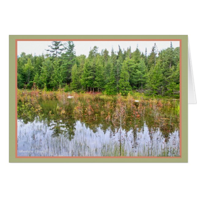 Zones humides (Devant horizontal)