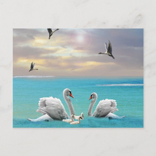 Zong van de witte zwaan, briefkaart (Voorkant)