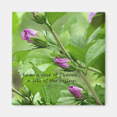 Zong van Solomon 2:1 Magneet (Voorkant)