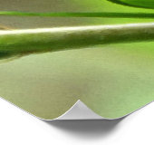 Zong van Solomon 2:1 Poster (Hoek)