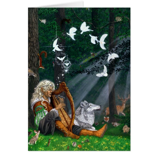 Zongvogels (Voorkant)