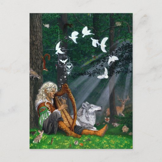 Zongvogels - Briefkaart (Voorkant)