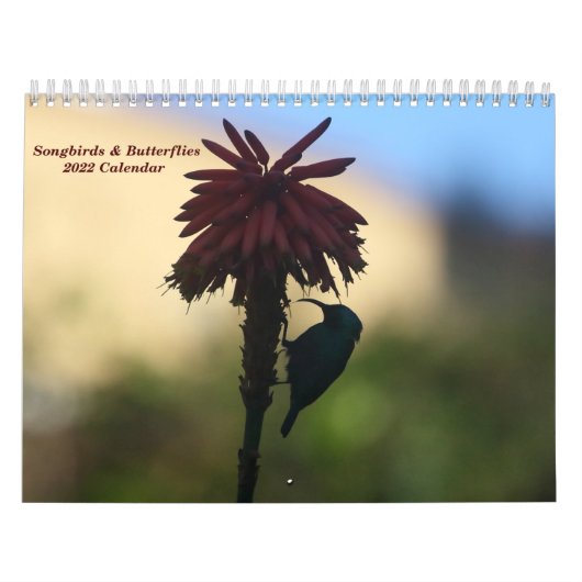 Zongvogels en botervliegen 2022 Kalender (Hoes)