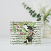  zongvogels op vel briefkaart (Staand voorkant)