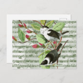  zongvogels op vel briefkaart (Voorkant / Achterkant)