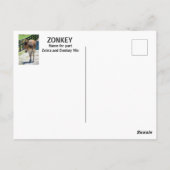 Zonkey part Zebra en Donkey Briefkaart (Achterkant)