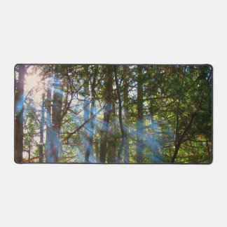 Zonlicht dat door de pijnbomen heen breekt bureaumat