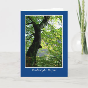 Zonlicht door bladeren: Birthday Kaart: Welsh Kaart