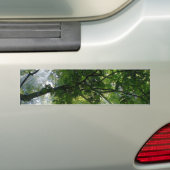 Zonlicht door bomen bumpersticker (Op auto)
