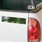 Zonlicht door bomen bumpersticker (Op Truck)