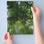 Zonlicht door bomen flyer (Hand)