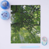 Zonlicht door bomen flyer (Enkel)