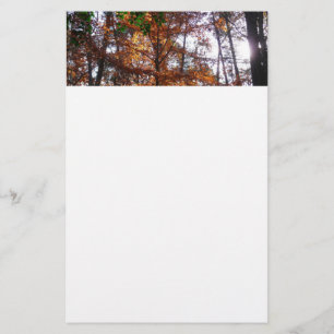 Zonlicht door de Herfst bij Greenbelt Briefpapier