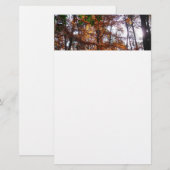 Zonlicht door de Herfst bij Greenbelt Briefpapier (Voorkant / Achterkant)