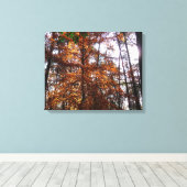 Zonlicht door de Herfst bij Greenbelt Canvas Afdruk (Insitu (Houten vloer))