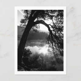 Zonlicht door de Pijnen, Derwentwater Briefkaart