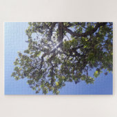 Zonlicht door een boompuzzel legpuzzel (Horizontaal)