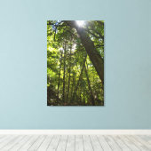 Zonlicht door het bosdak canvas afdruk (Insitu (Houten vloer))