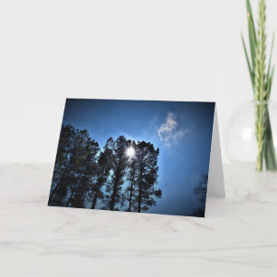 Zonlicht door pijnbomen, kaart
