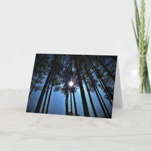 Zonlicht door pijnbomen, kaart