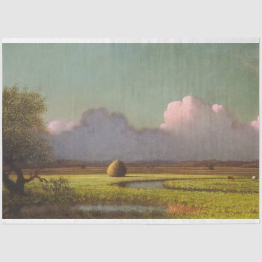 Zonlicht en schaduw: De Newbury Marshes Tissuepapier (Voorkant)