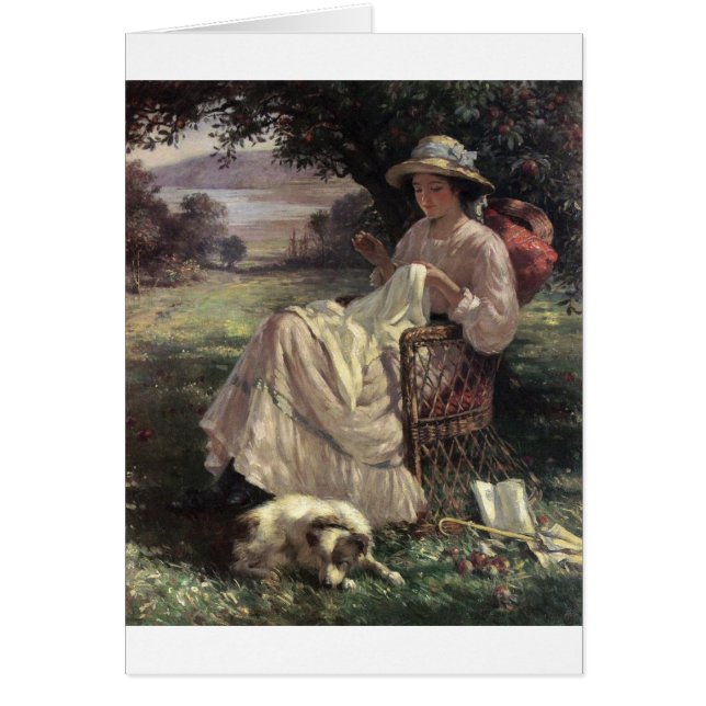  - zonlicht en schaduwen, (Voorkant)