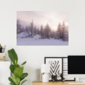 Zonlicht en sparrenbos poster (Thuiskantoor)