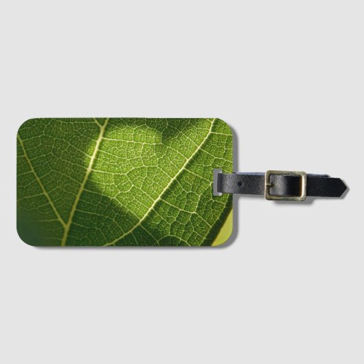 Zonlicht Hart Bagage Label (Voorkant (horizontaal))