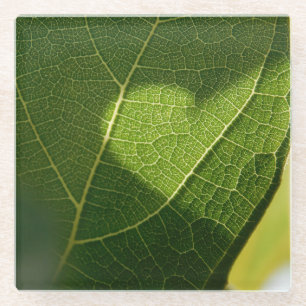 Zonlicht Hart Blad Glas Onderzetter