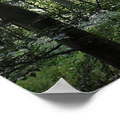 Zonlicht in de Bossen Poster (Hoek)