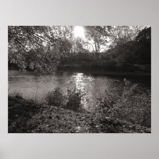 Zonlicht op de Taff, Bute Park, Cardiff Poster (Voorkant)