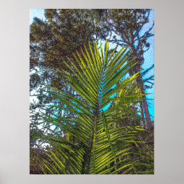 Zonlicht op het Poster van de Palmfronten