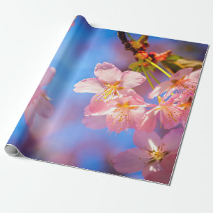 Zonlicht op Sakura Flowers Cadeaupapier