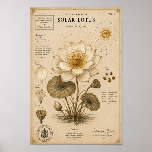 Zonne Lotus Victoriaans Botanisch Museum Print (Voorkant)