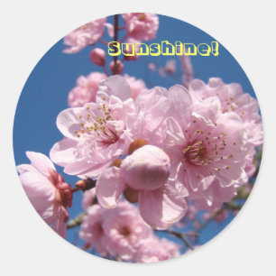 Zonne! stickers Roze Lente Bloesem Bloemen