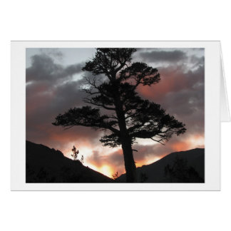 Zonne uit het raam-peak-meer