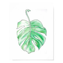 Zonneafzetting: Palm Leaf