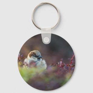 Zonnebaden Finch Sleutelhanger