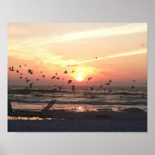 Zonnebakken en zeegarren op het Afbeelding water Poster